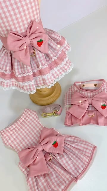 Vestidinhos e peitoral xadrez rosa com morangos, da boutique